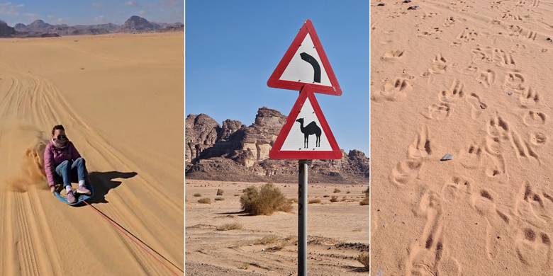 Wadi Rum, tragovi kamila, sandboarding